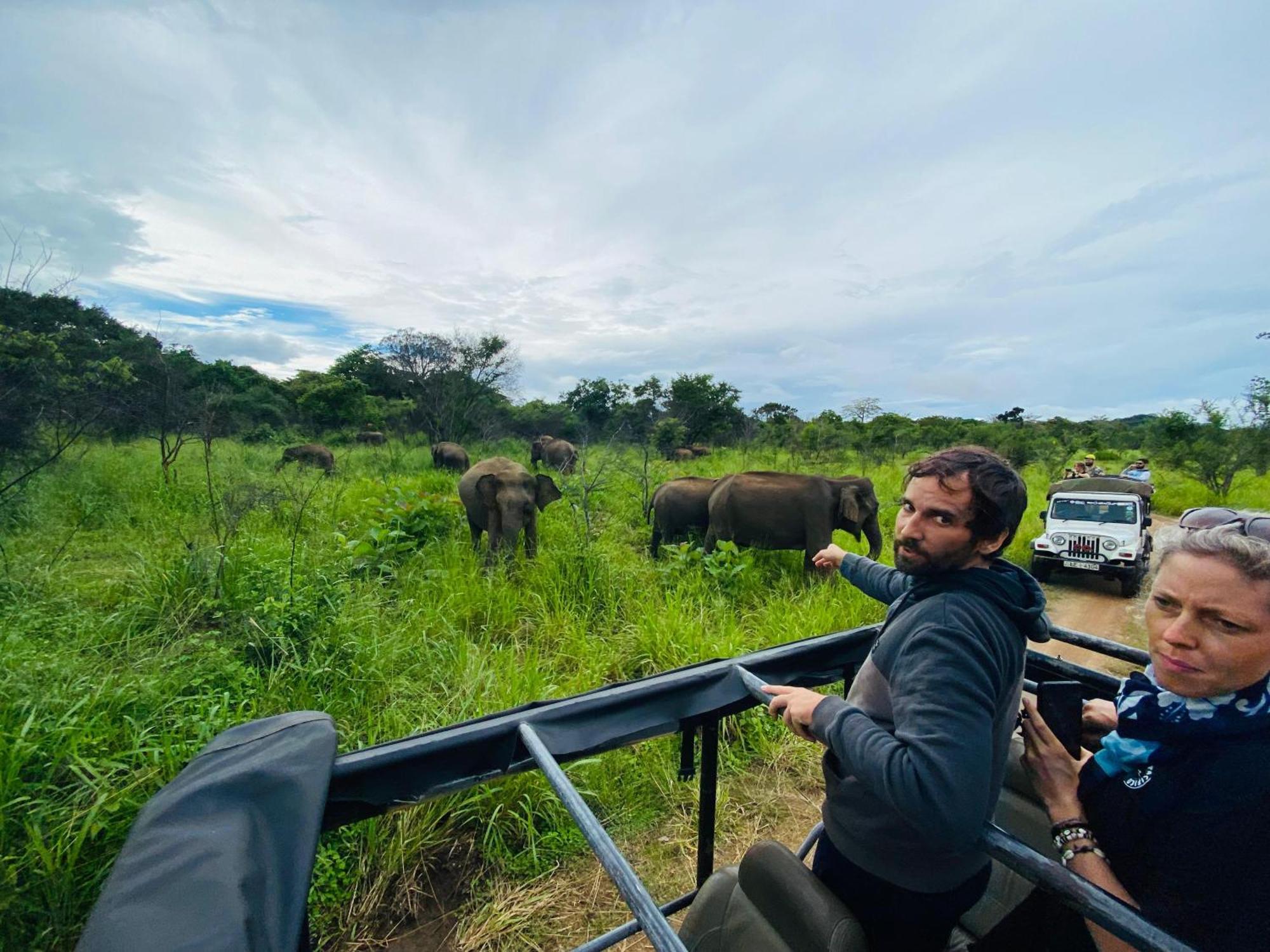 Minneriya Jeep Safari Habarana Kültér fotó
